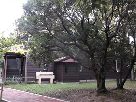 ���Ɍ����Ȃݖ�w��