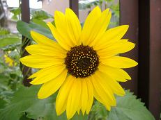 �q�}����