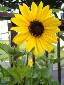 �q�}����