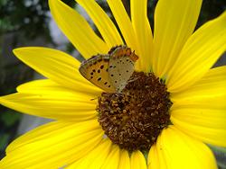 �q�}����