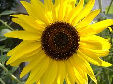 �q�}����