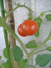 �~�j�g�}�g