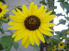 �q�}����