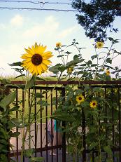 �q�}����