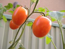 �~�j�g�}�g