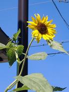 �q�}����