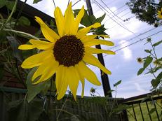 �q�}����