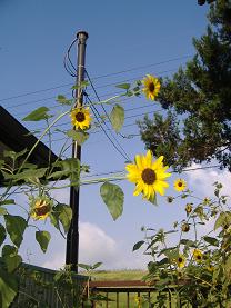 �q�}����