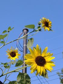 �q�}����