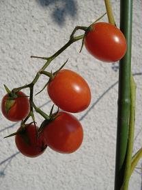 �~�j�g�}�g