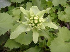 �t�L�m�g�E