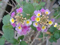 �����^�i