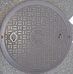 ���Ɍ������a