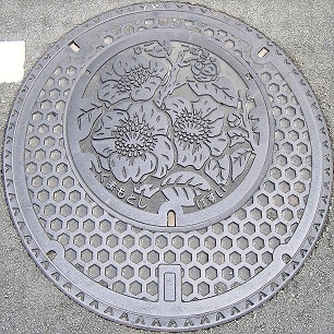 �F�{�s�}���z�[��