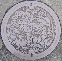 �F�{�s�}���z�[��