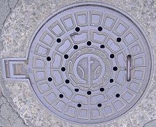 �F�{�s�}���z�[��