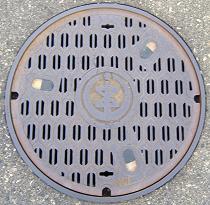 �V���s�}���z�[��