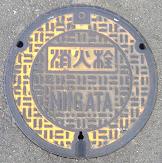 �V���s���ΐ�