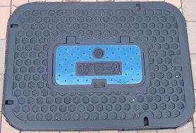 �V���s�ʐ���