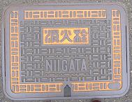 �V���s���ΐ�