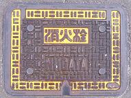 �V���s���ΐ�