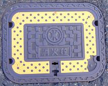 �V���s���ΐ�