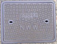 �V���s���ΐ�