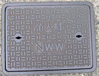 �V���s���ΐ�