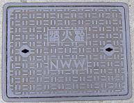 �V���s���ΐ�