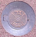 ���{�������������