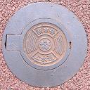 ���{�������������