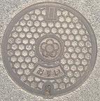 �V���s�}���z�[��