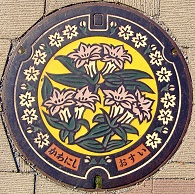 �쐼�s�}���z�[��