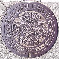 �쐼�s�}���z�[��