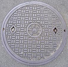 ���Ɍ������a