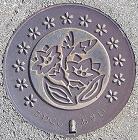 �쐼�s�}���z�[��