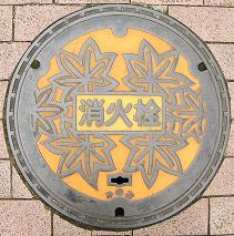 ���ʎs�}���z�[��