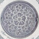 �����s�}���z�[��