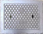 �F�s�{�s�ʐ���