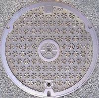 ���Ɍ������a