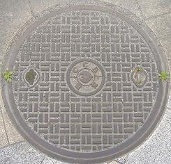 �ޗǌ������a