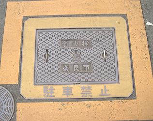 �ޗǎs���ΐ�