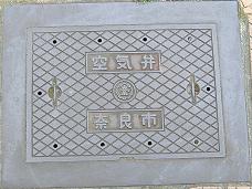 �ޗǎs��C��