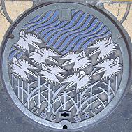 �P�H�s�}���z�[��