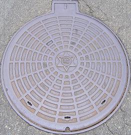 �a�̎R�s�}���z�[��