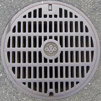 ���{�}���z�[��