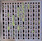 �O�D�s�r���a