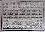 �c���{���ʐ���