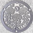 吉野川市マンホール