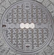 �����s������}���z�[��